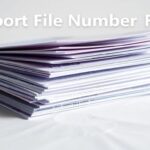 Passport File Number FAQs